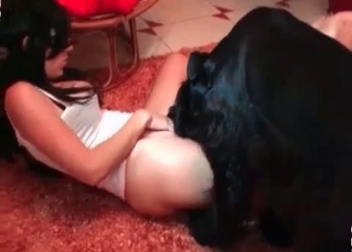 Two dogs are licking her tits
