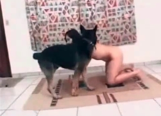 Shepherd enjoys her tight hole