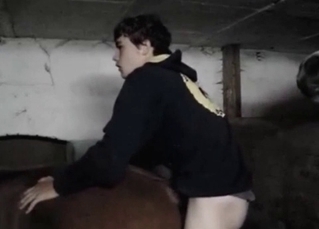Young zoofil fucks a stallion