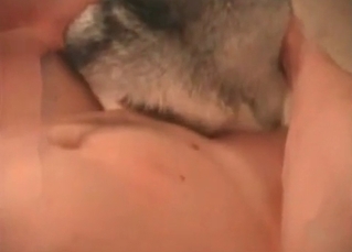White dog penetrated so hard