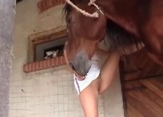Stunning stallion and hot girl