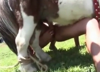 Kinky bitch sucks a juicy horse