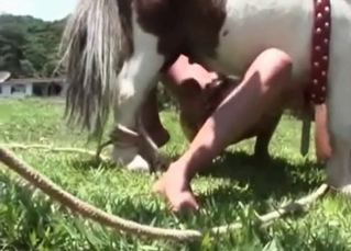 Kinky bitch sucks a juicy horse