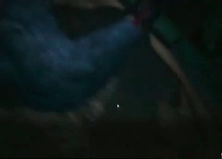 3D action with a hardcore horse