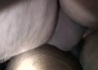 Slow zoo sex with a horny guy