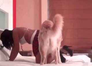 Astonishing slut fucked by a dog