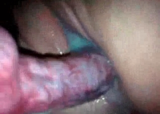 Doggy is creaming her vagina