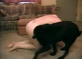 Black dog is enjoys a slut