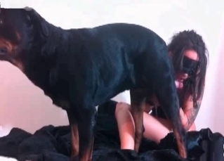 Bulldog is having a hot zoo sex