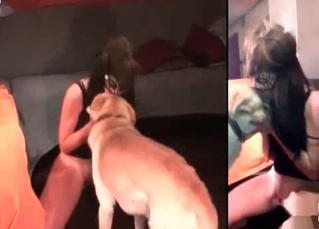 Doggy cums a load in her twat