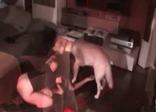 Doggy cums a load in her twat