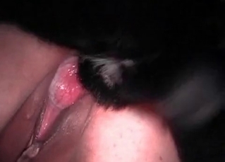 Black dog pounds a pervert