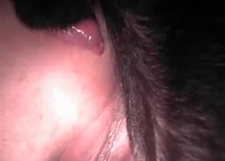 Black dog pounds a pervert