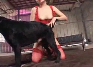 Hanjob for a sexy black doggy