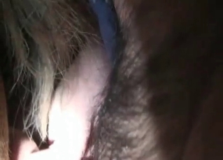 Awesome horse sex in the barn