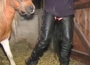 Doggy style farm bestiality