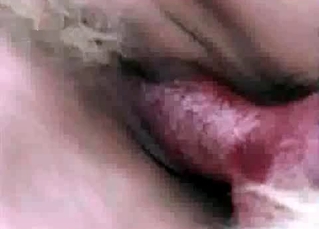 Passionate outdoor animality
