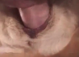 Doggy fucked in a tight anus