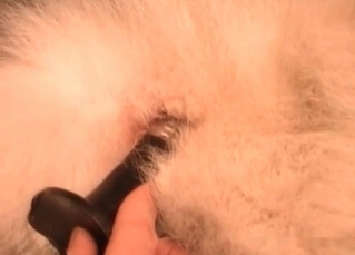 Fingering a nice dog anus