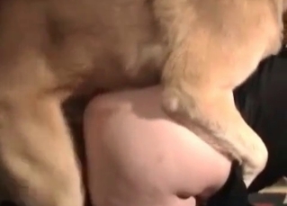 Fat whore fucked by her doggy