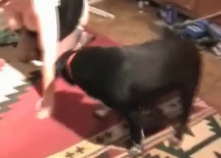 Fat whore fucked by her doggy