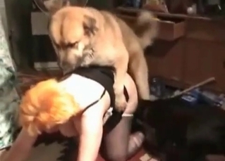 Fat whore fucked by her doggy