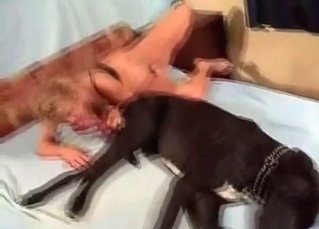 Fatty blonde in the bestial video