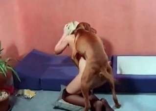 Fast and hot dog sex action