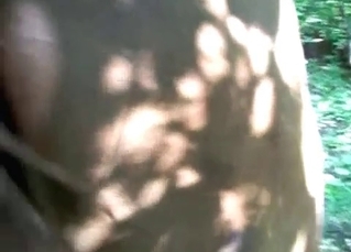 Zoofil explores a juicy horse